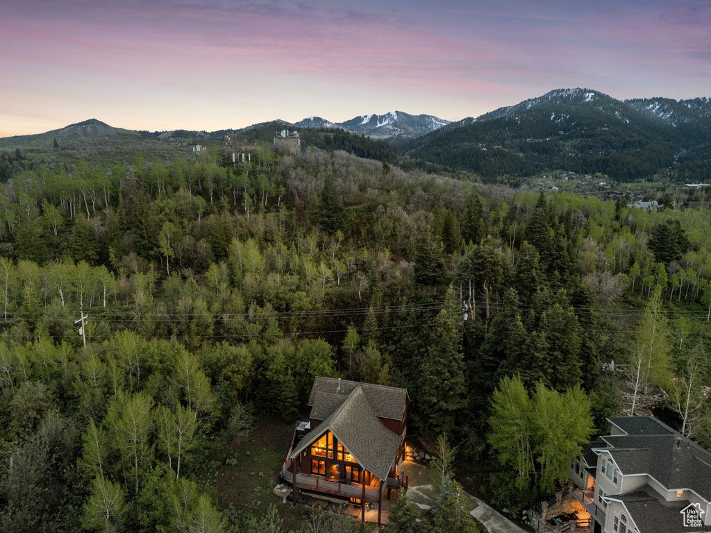 Mountain view with a heavily wooded area