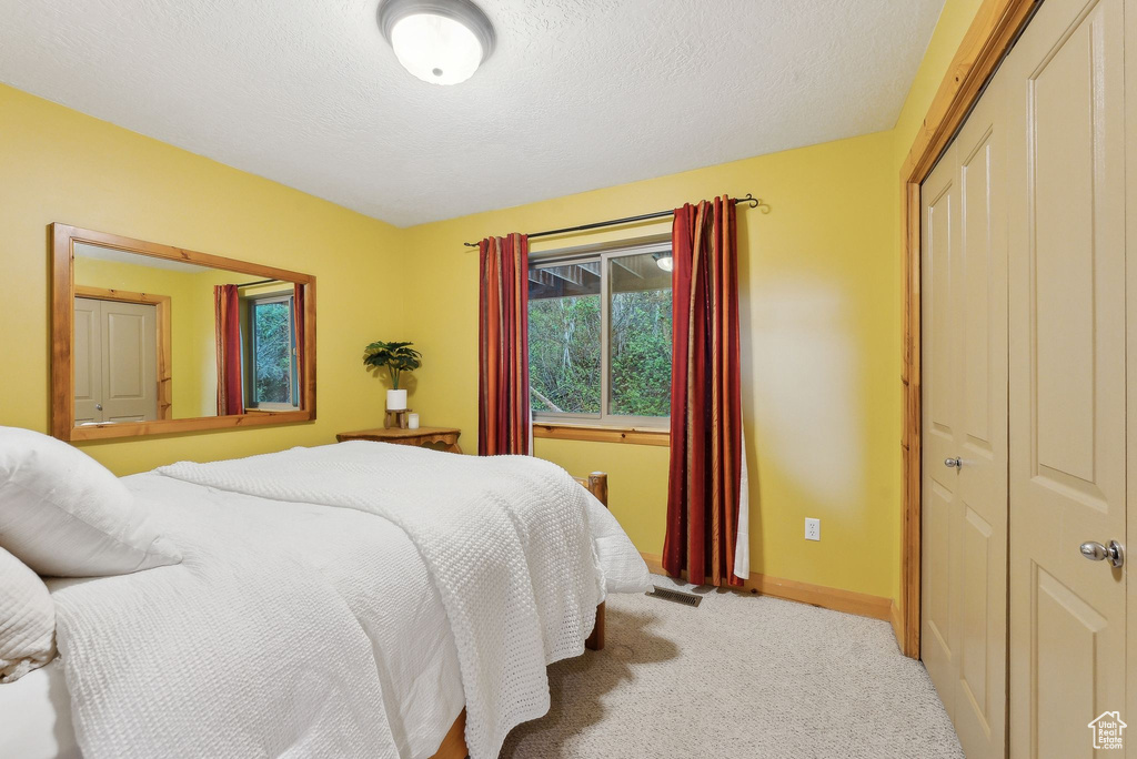 Carpeted bedroom with a closet, baseboards, and a textured ceiling