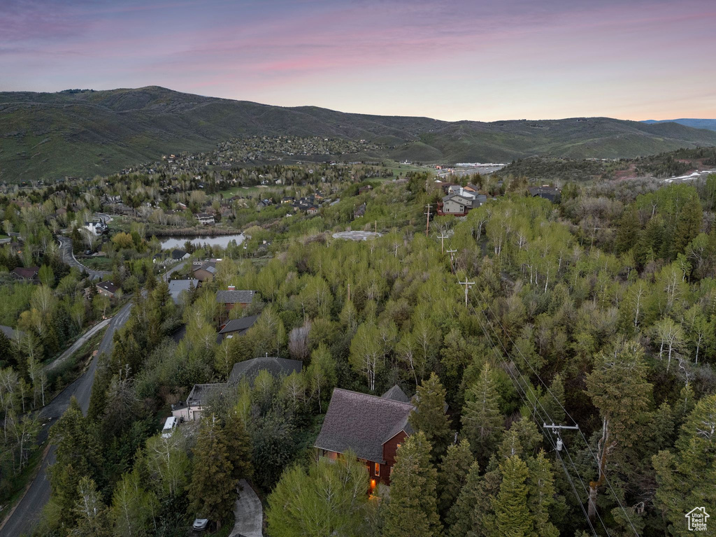 Aerial view at dusk of a mountain view and a forest view