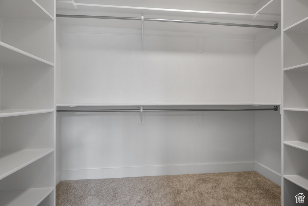 Walk in closet featuring carpet floors