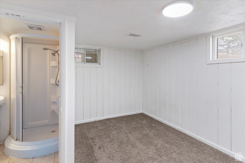 Basement with carpet and wooden walls