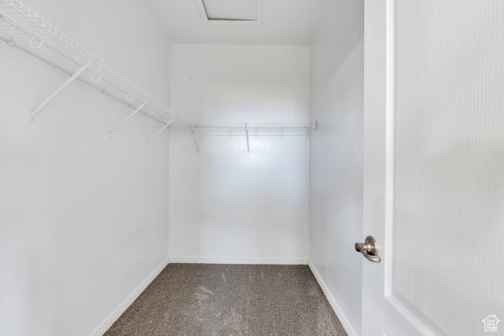 Walk in closet with carpet floors