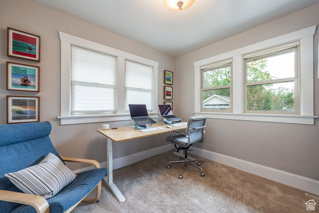 Home office with carpet floors and baseboards