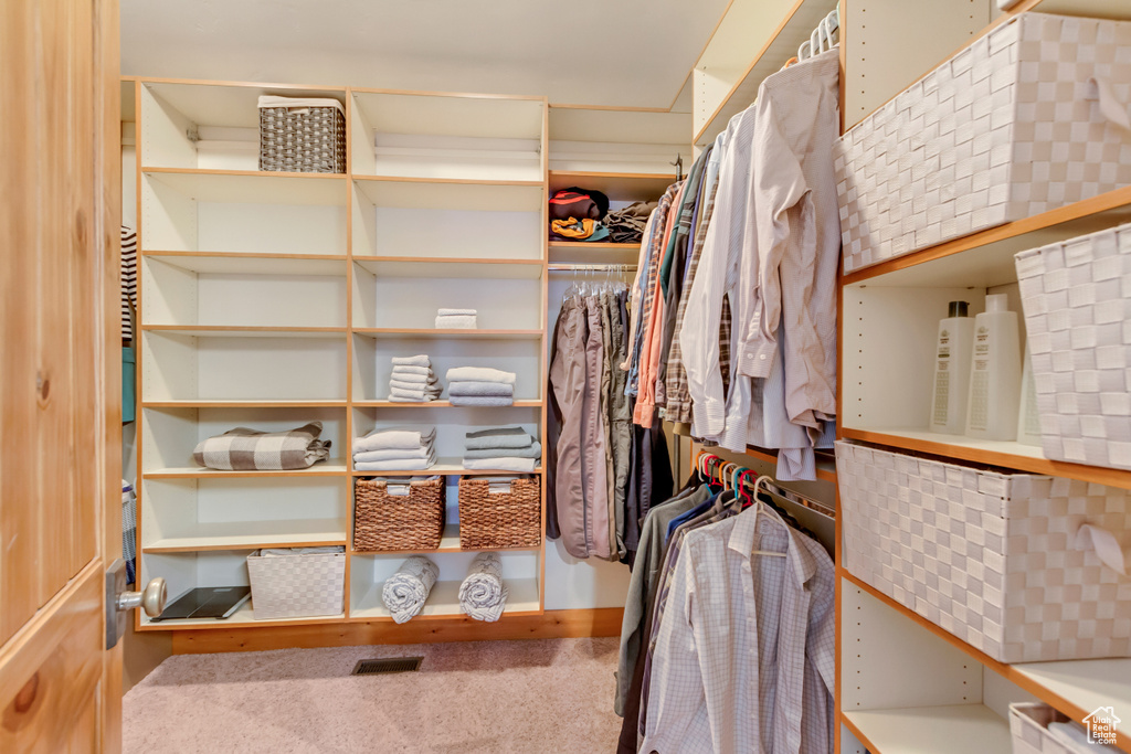 Spacious closet featuring carpet floors