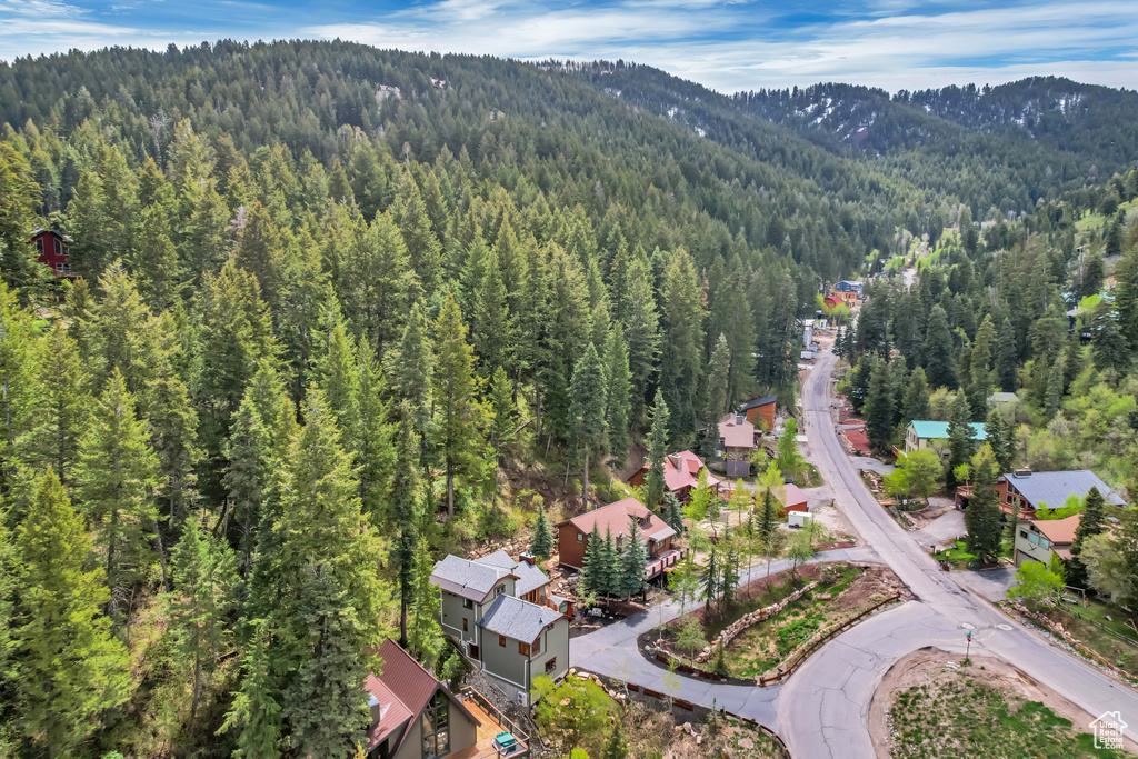 110 SAINT MORITZ STRASSE Park City, UT 84098