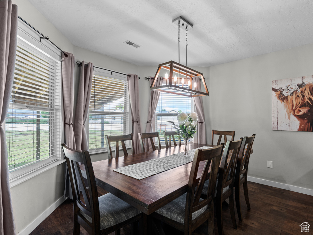 Dining room with baseboards, plenty of natural light, dark wood-type flooring, and a textured ceiling