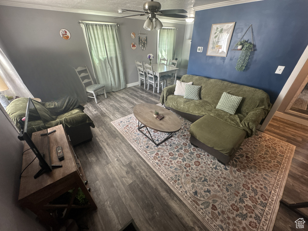 Living area featuring ceiling fan, crown molding, wood finished floors, and baseboards