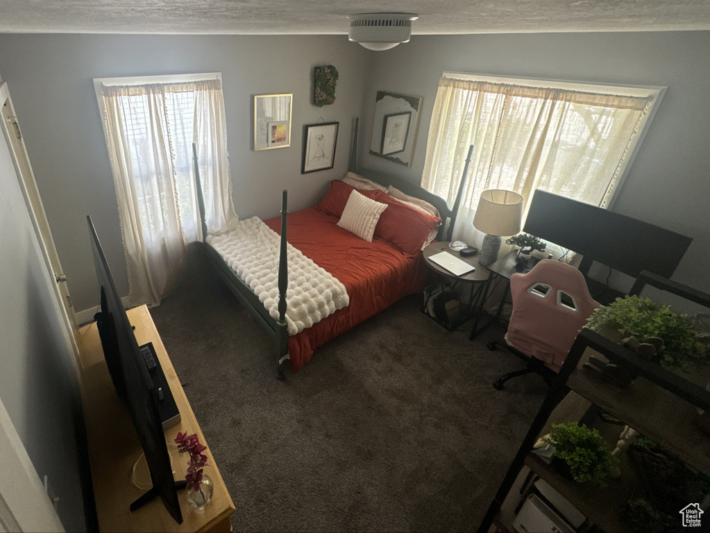 Bedroom featuring multiple windows, carpet flooring, and a textured ceiling