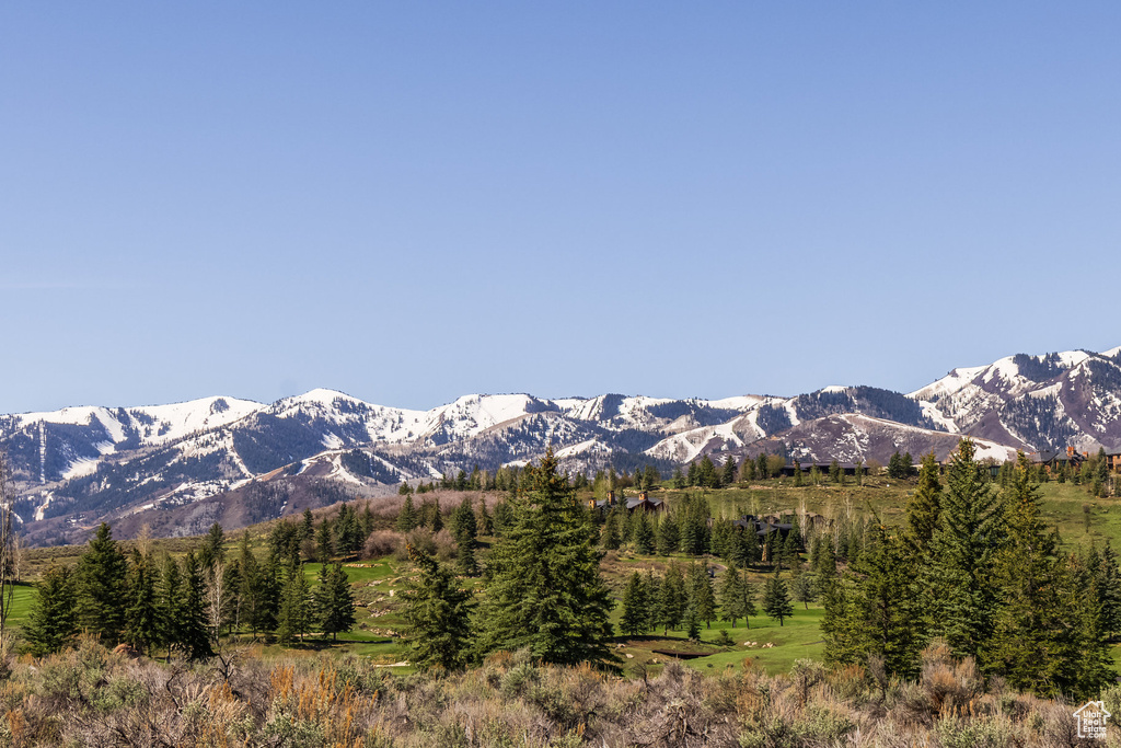 7435  FOXGLOVE CT Park City, UT 84098