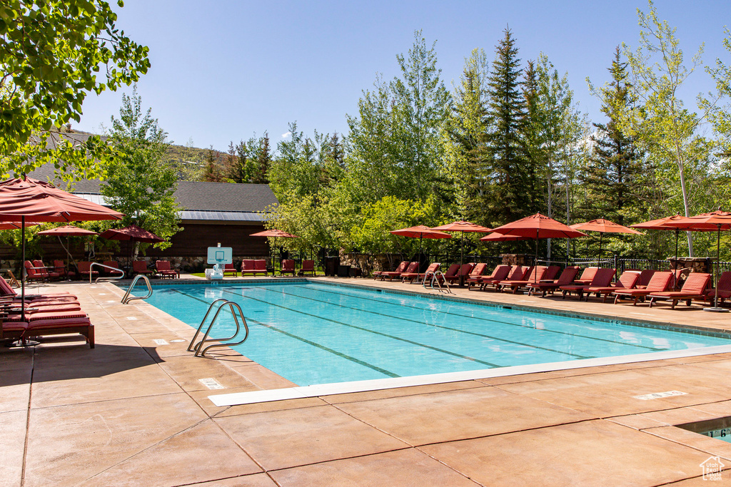 Community pool featuring a patio and fence
