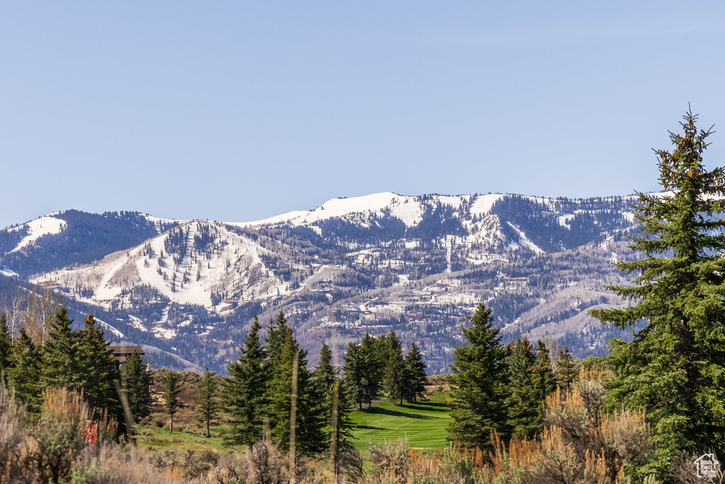 View of mountain background