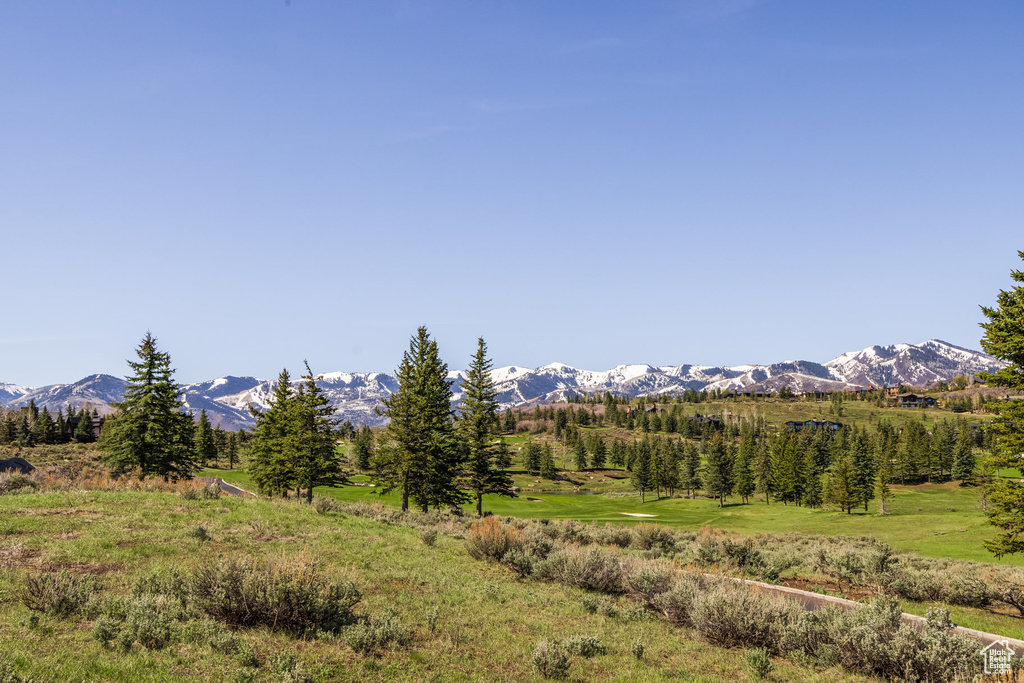 Mountain view