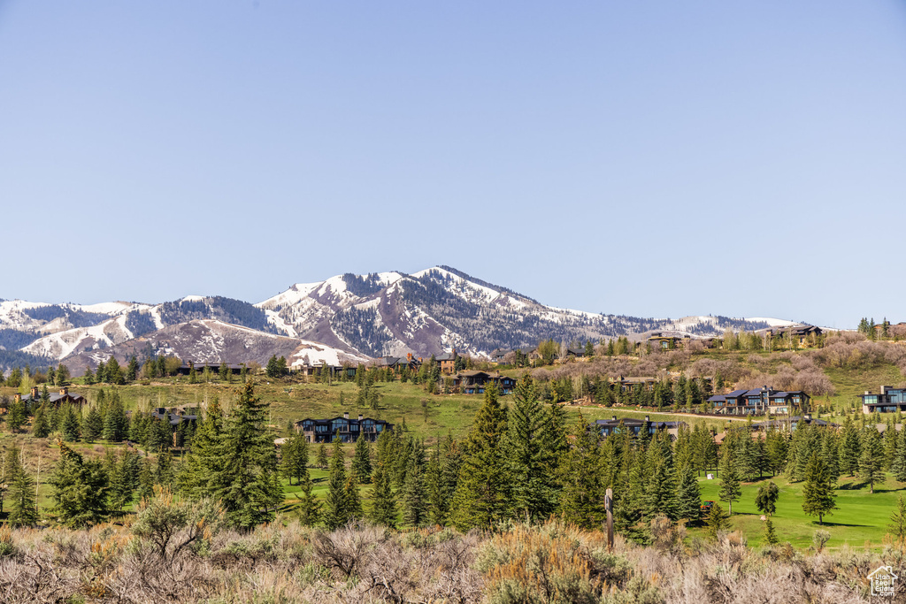 View of mountain background