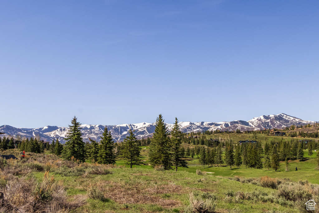 View of mountain background