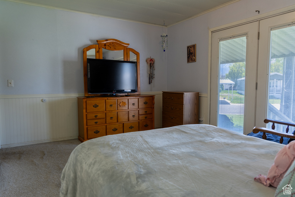 Bedroom with crown molding, access to outside, wainscoting, and carpet