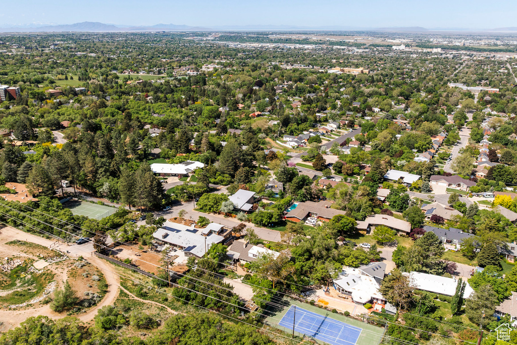 Bird\'s eye view