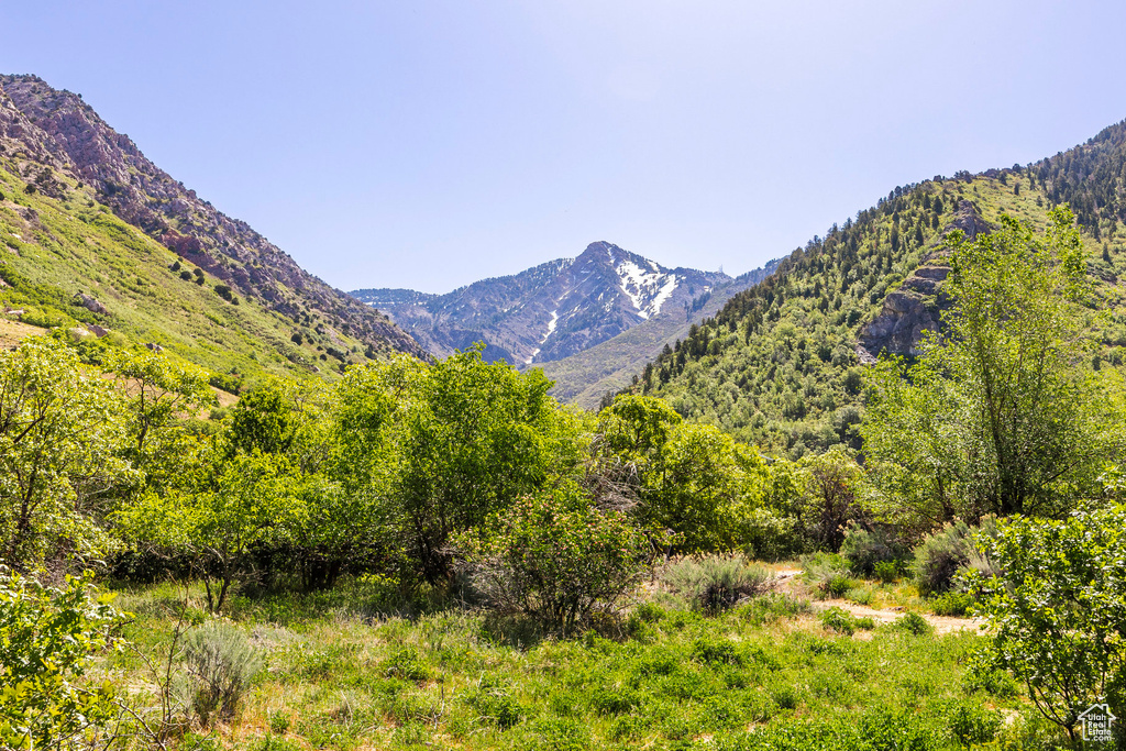 View of mountain background