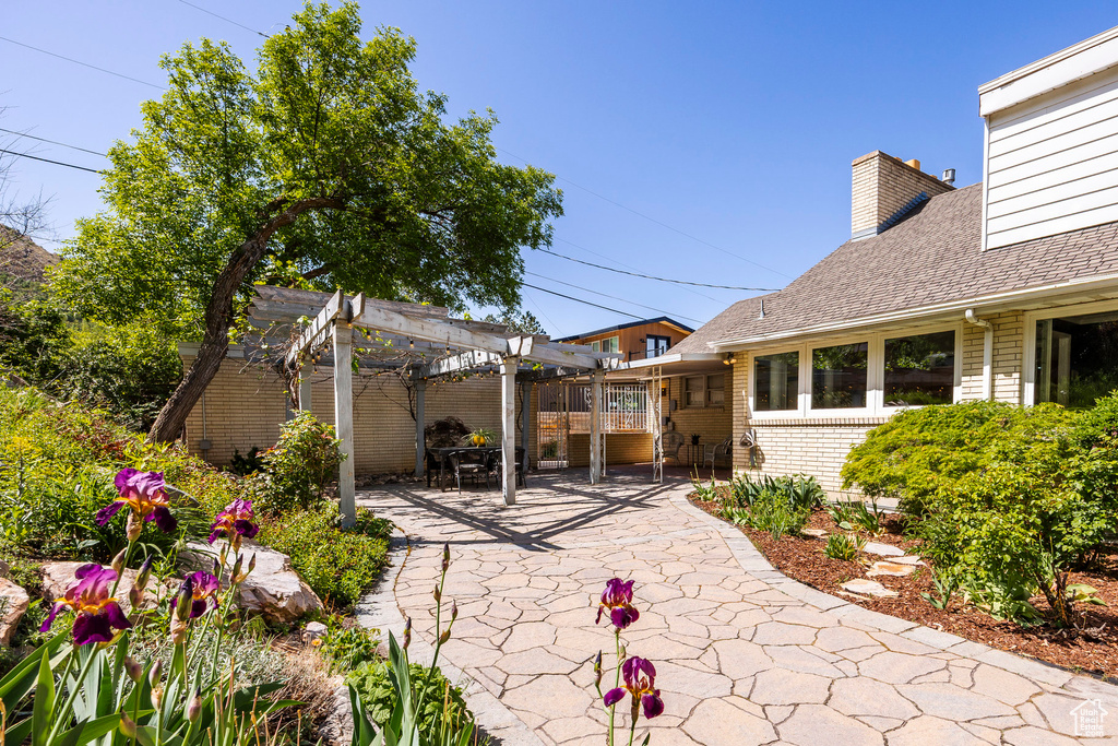 View of yard featuring a pergola and a patio area
