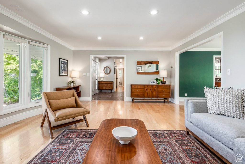 Living room featuring wood finished floors, baseboards, crown molding, and recessed lighting