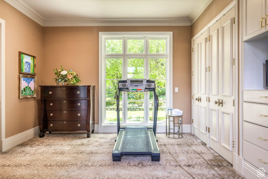 Doorway with baseboards and ornamental molding
