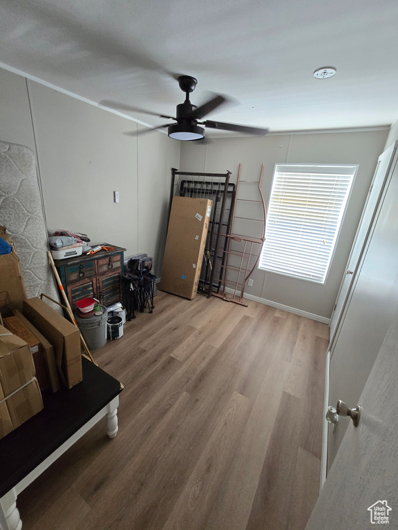 Living room featuring wood finished floors and ceiling fan