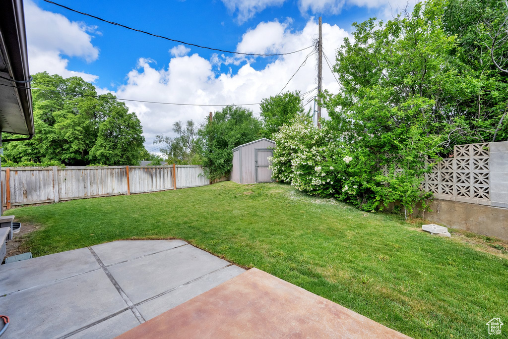 View of yard featuring a patio area, a storage shed, and an outbuilding