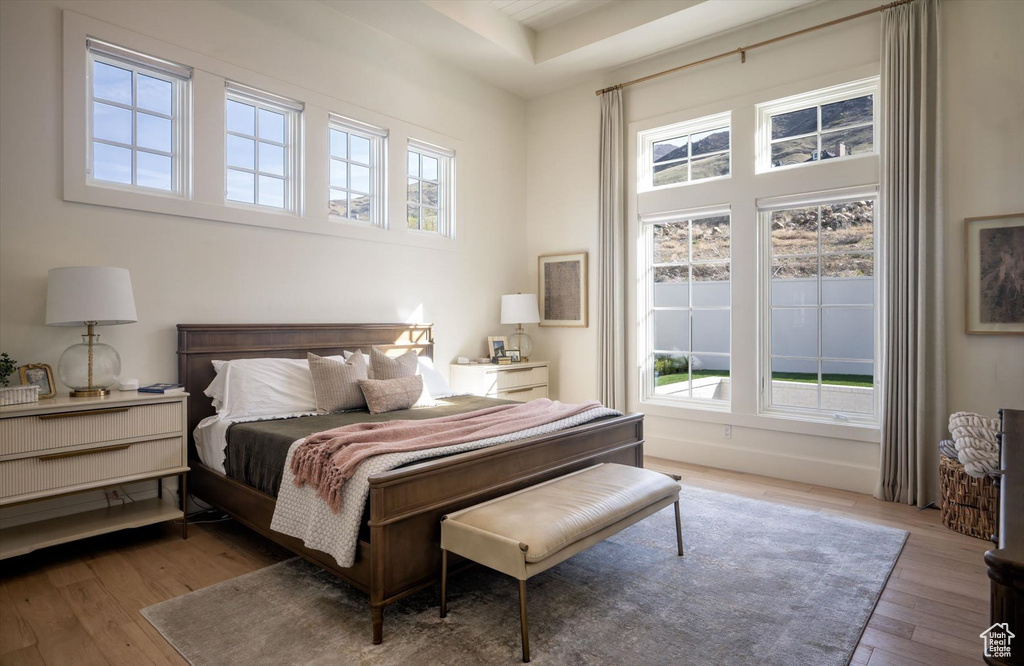 Bedroom with multiple windows and hardwood / wood-style flooring