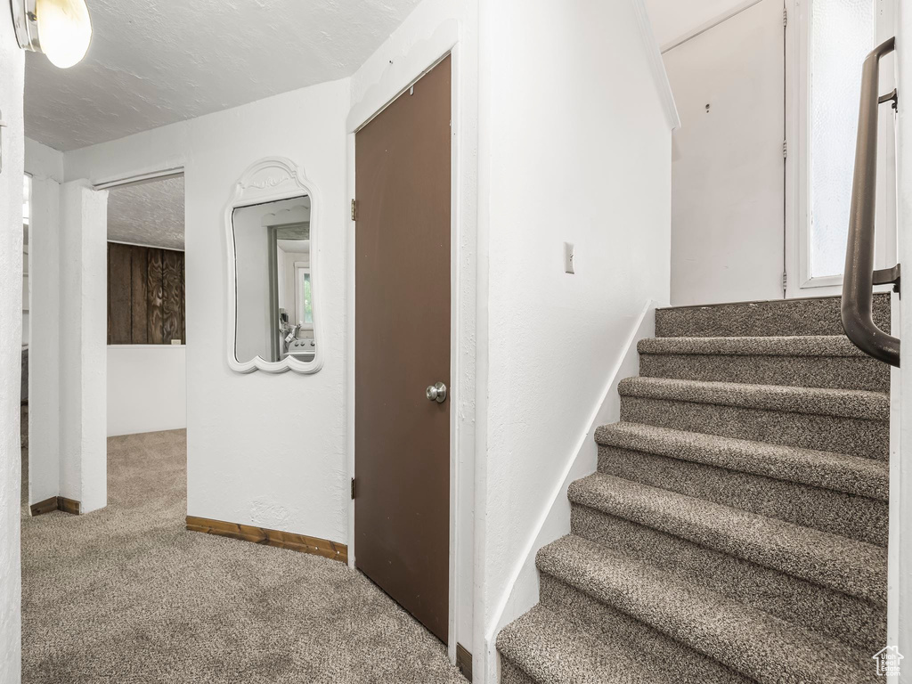 Stairs featuring carpet and baseboards