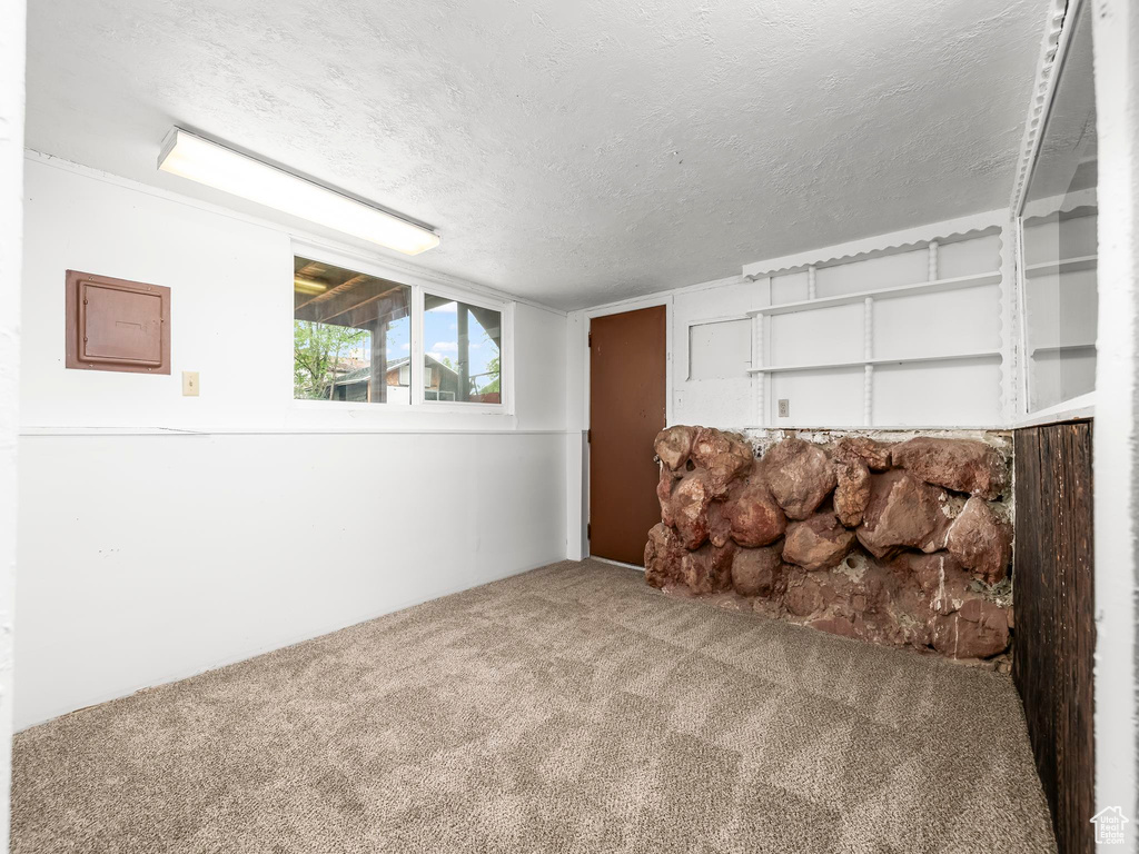 Unfurnished living room featuring carpet flooring and a textured ceiling