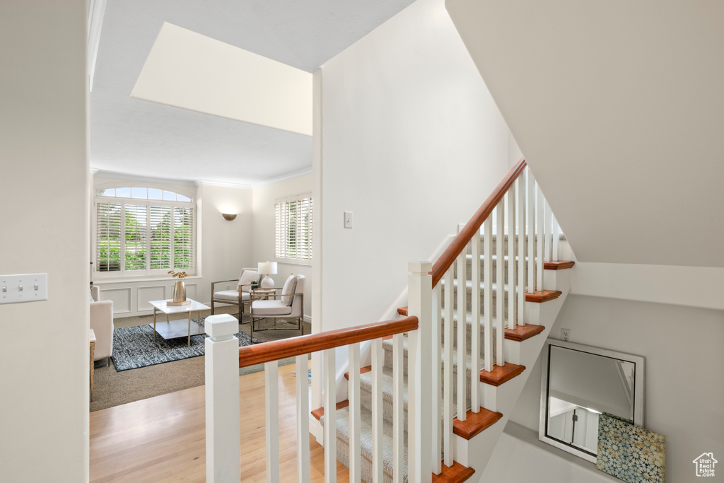 Staircase featuring wood finished floors