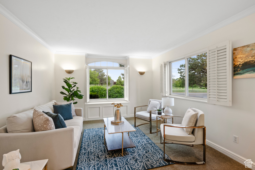 Carpeted living room with ornamental molding, plenty of natural light, and baseboards