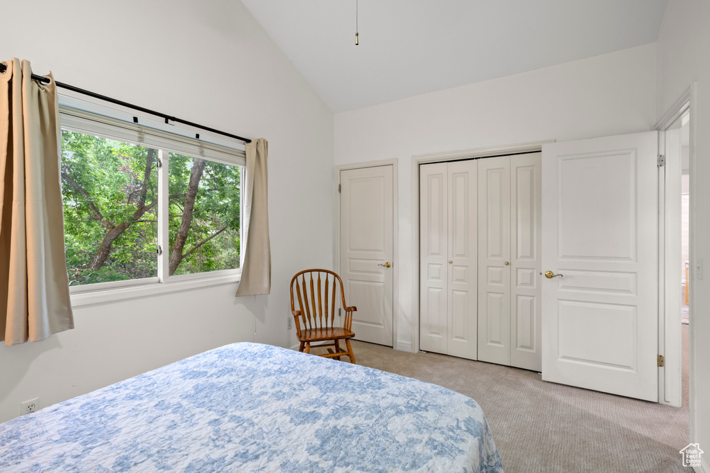 Carpeted bedroom with high vaulted ceiling and a closet