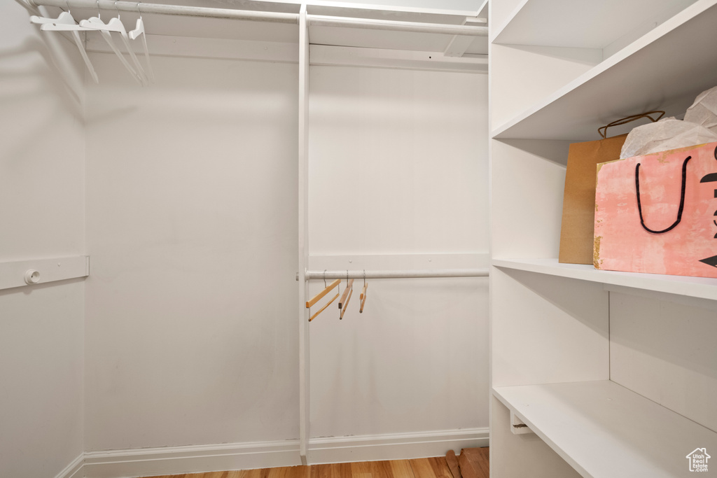 Spacious closet featuring light wood finished floors
