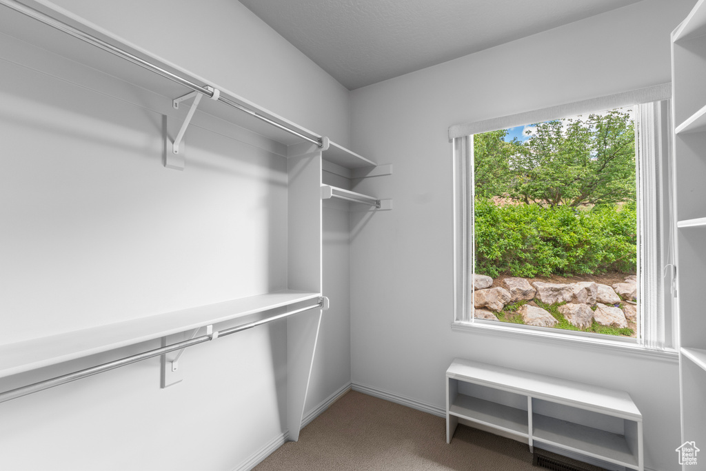 Spacious closet featuring light carpet