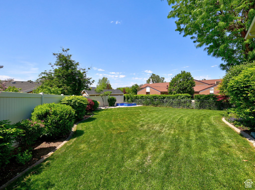 View of yard