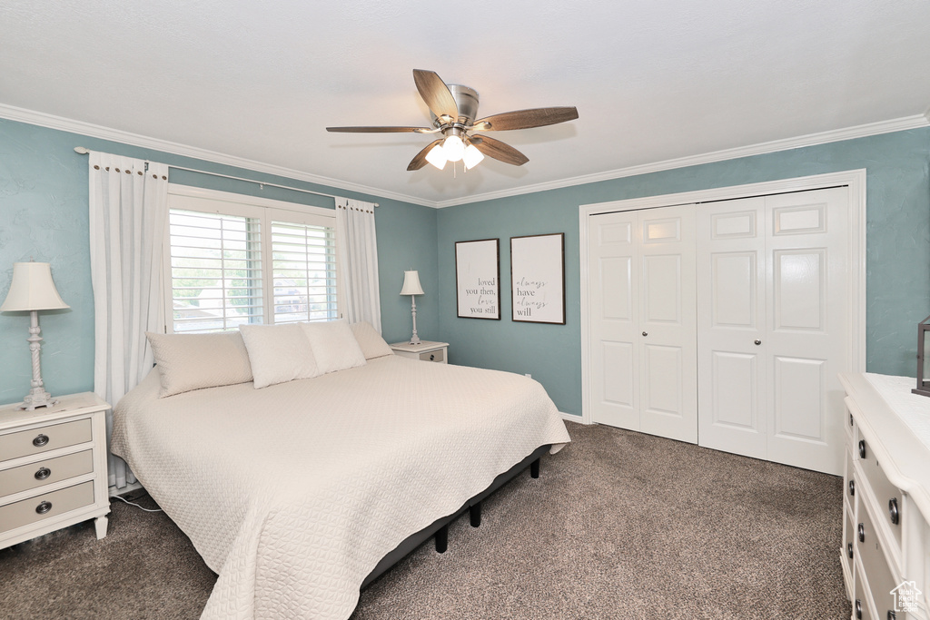 Bedroom with dark carpet, a closet, crown molding, and ceiling fan