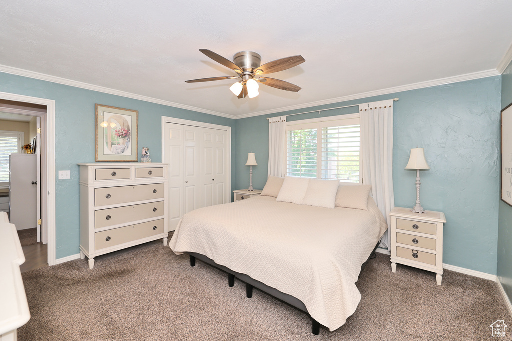 Carpeted bedroom featuring ornamental molding, a closet, baseboards, and ceiling fan