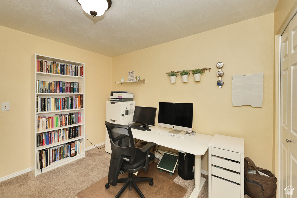 Carpeted home office with baseboards