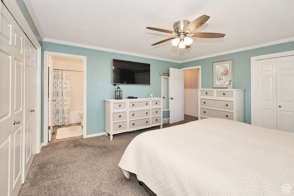 Carpeted bedroom featuring ornamental molding, ensuite bath, ceiling fan, baseboards, and a closet