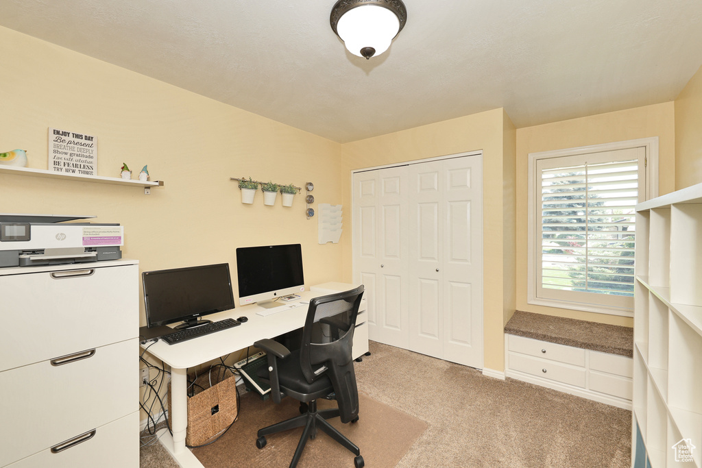 Office space featuring light carpet and baseboards