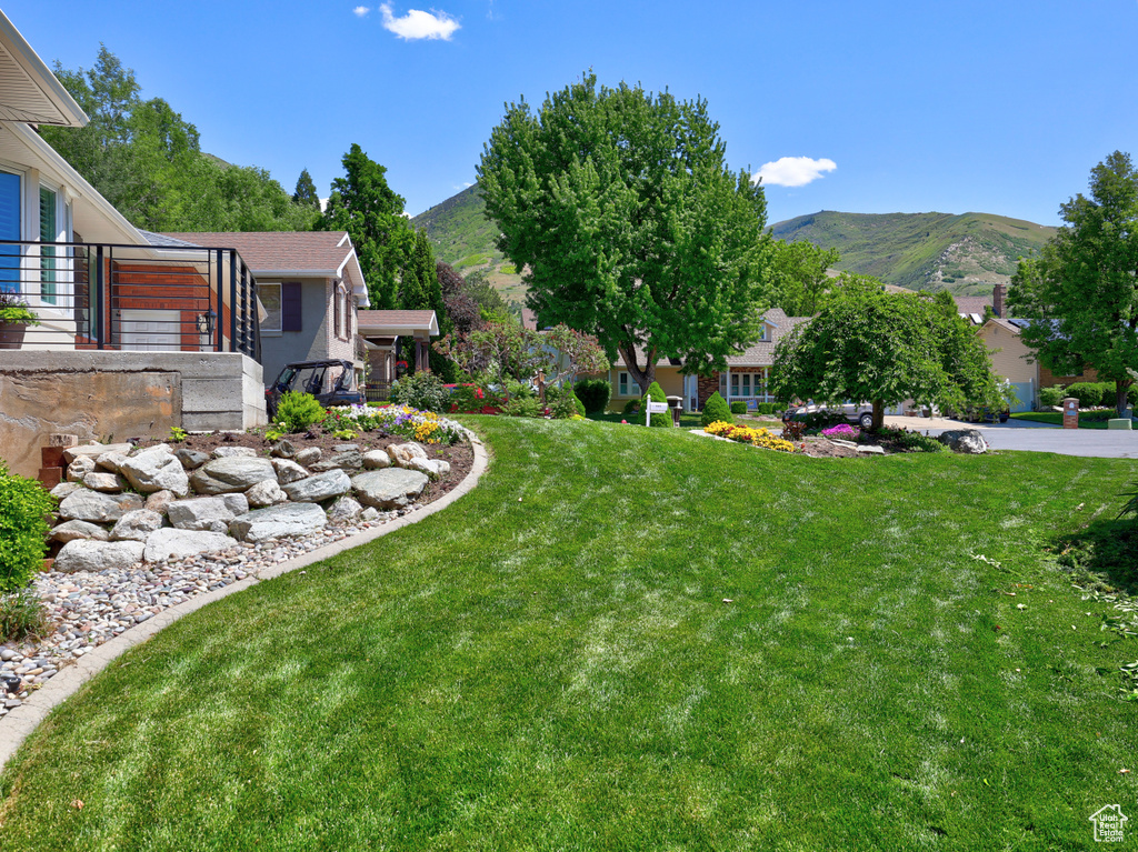 View of green lawn with a mountain view