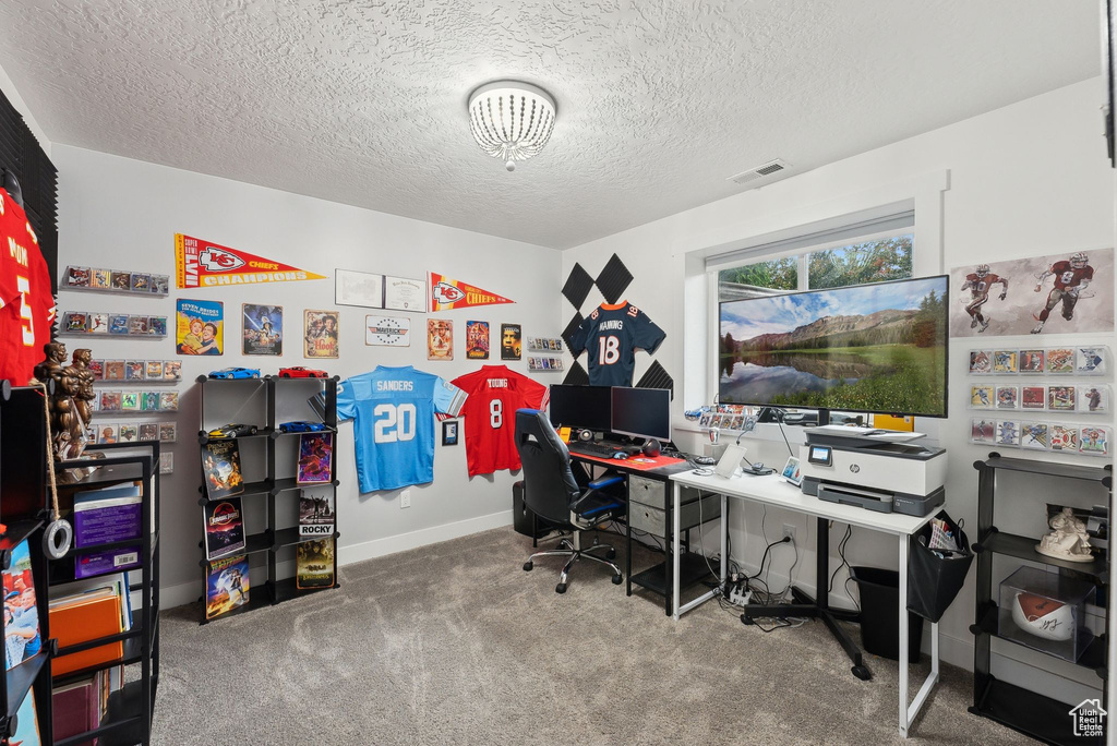 Carpeted office space with a textured ceiling and baseboards