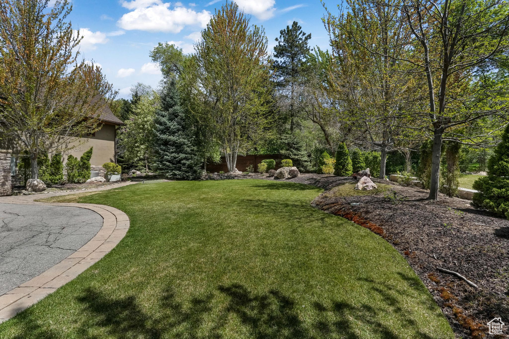 View of grassy yard
