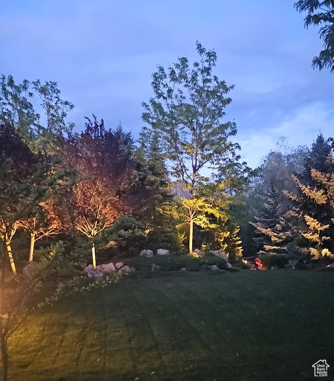View of grassy yard