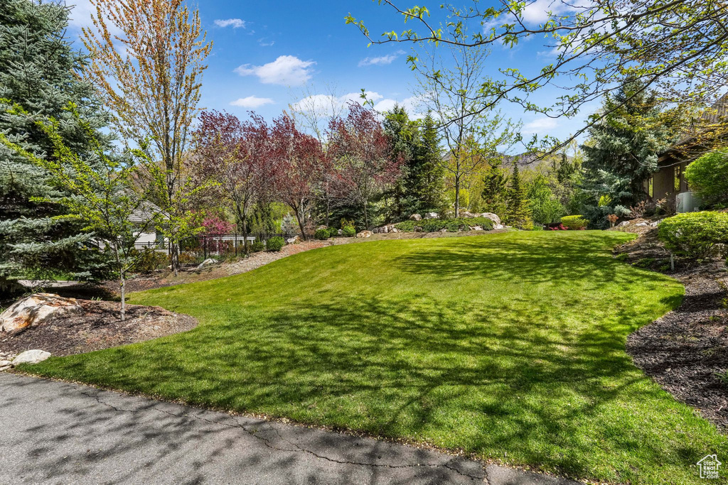 View of green lawn