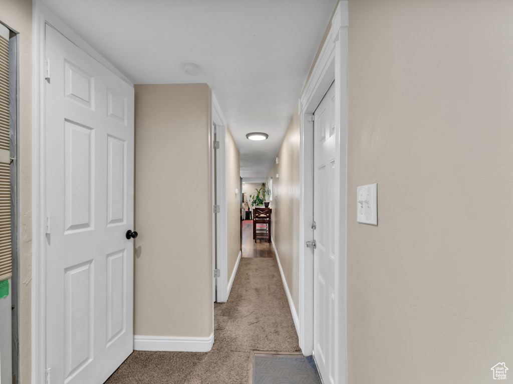 Hall featuring carpet floors and baseboards
