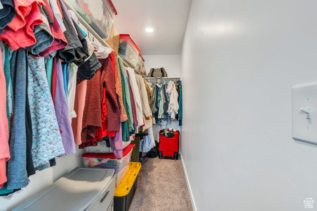 Spacious closet featuring carpet flooring