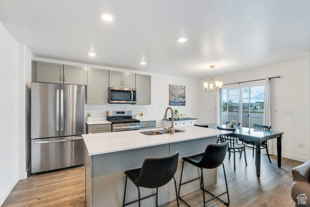 Kitchen with stainless steel appliances, gray cabinets, a sink, light wood finished floors, and recessed lighting