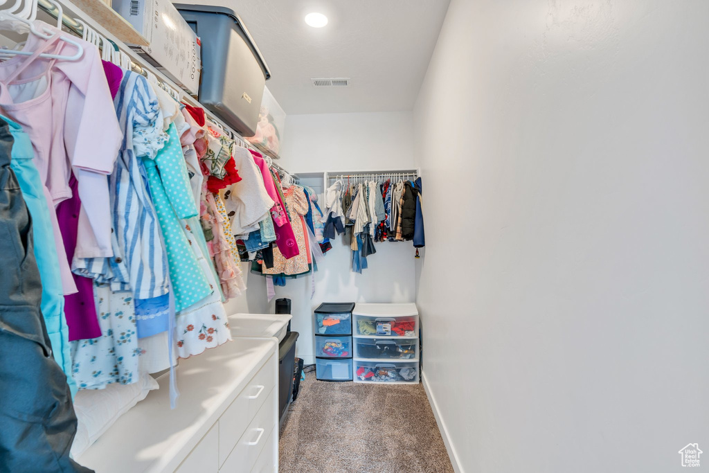 Spacious closet featuring carpet