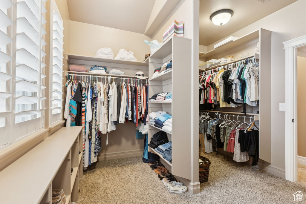 Spacious closet featuring carpet flooring